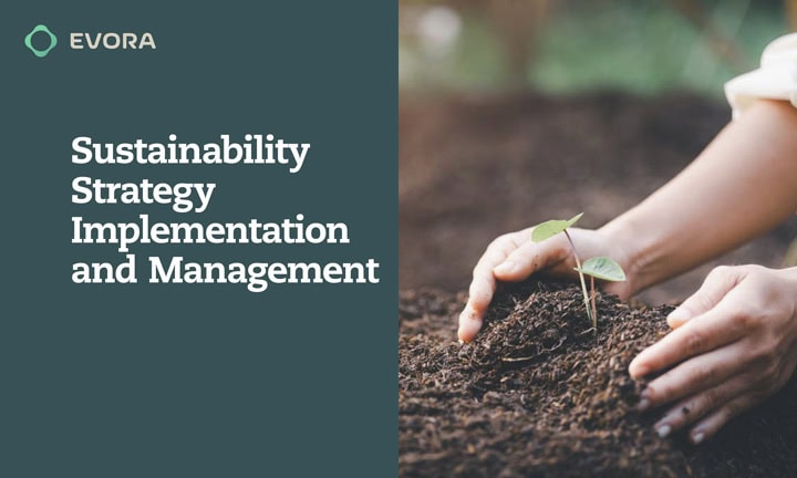 Sustainability Strategy Implementation and Management